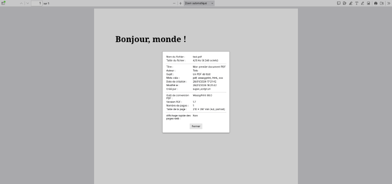 Capture d'écran montrant le fichier PDF ouvert dans un lecteur. Au premier plan, une fenêtre montre les différentes métadonnées du fichier.