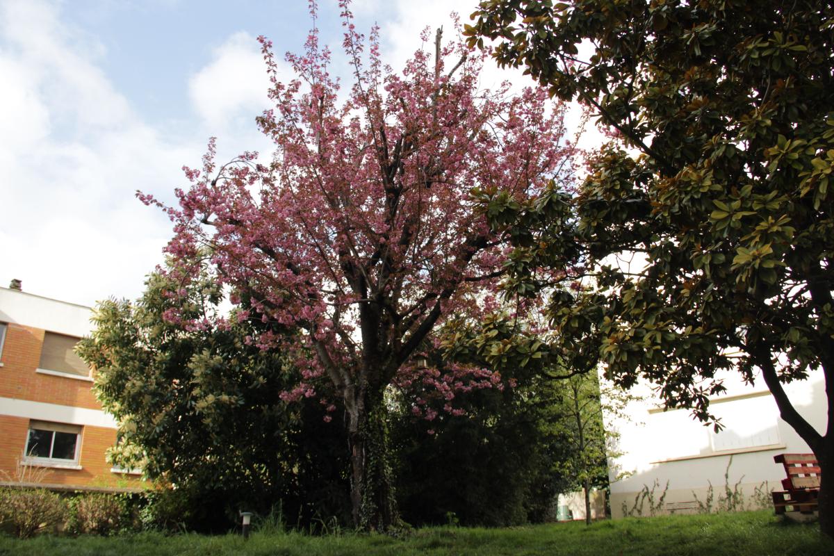 Organiser ses arbres de travail git